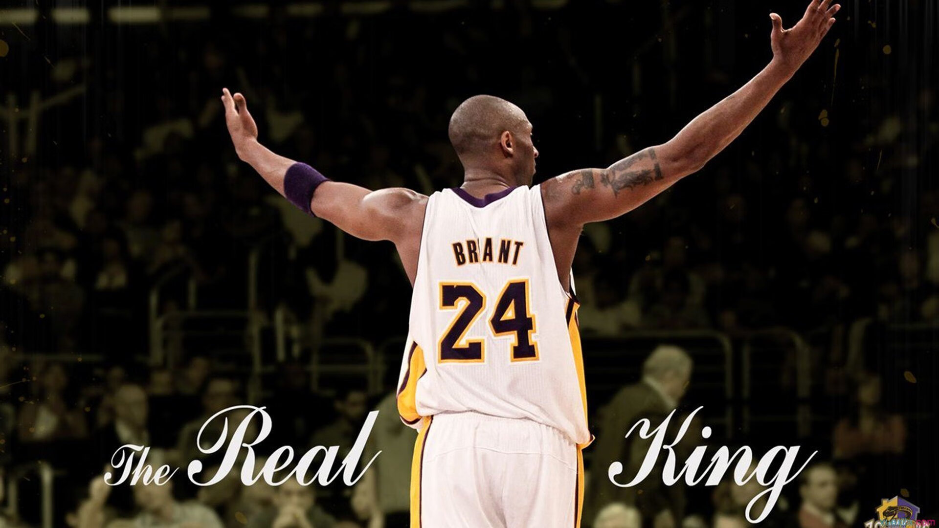 篮球运动员比赛状态调节技术及应用研究，篮球比赛模式