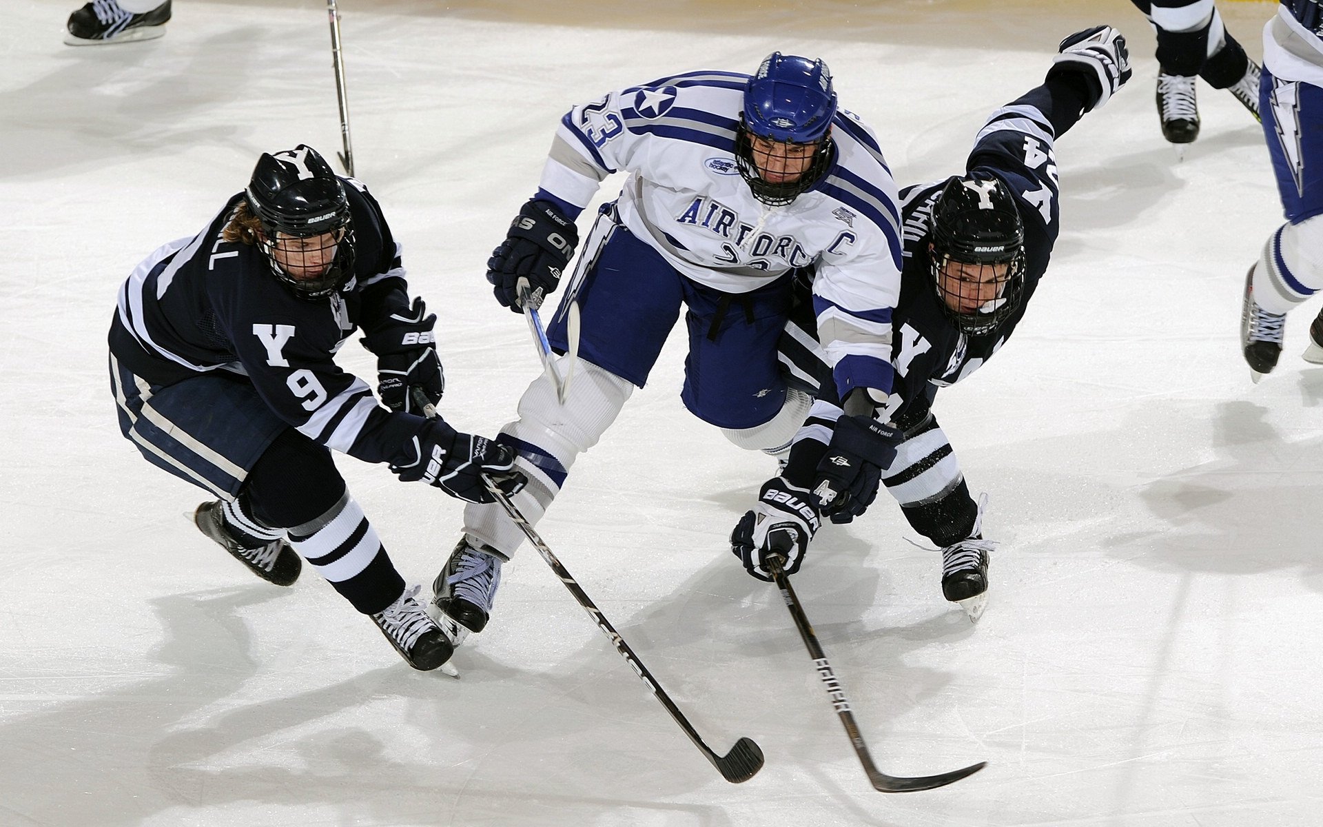 短道速滑世界杯速度惊人